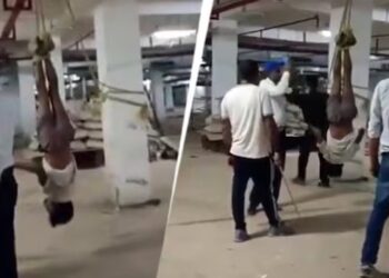 Pekerja Bangunan Digantung Terbalik dan Dipukuli di India, Videonya Viral