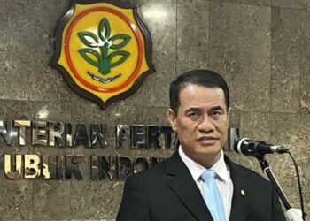 Pemerintah Bakal Operasi Beras Hingga Akhir Tahun
