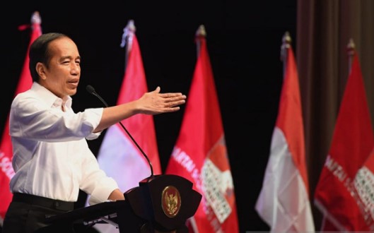 Mantan Presiden Joko Widodo (Jokowi). Dok. Antara