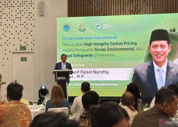 Pemerintah Siapkan Mekanisme Pengawasan untuk Jaga Integritas Karbon Indonesia