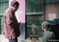 Gubernur Pramono Pastikan Harimau di Ragunan Sehat