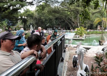 Libur Natal 2025, Lebih dari 50 Ribu Wisatawan Padati Taman Margasatwa Ragunan