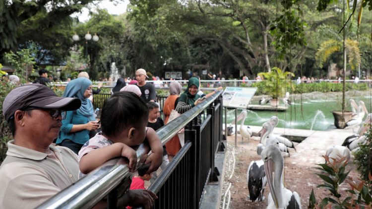 Libur Natal 2025, Lebih dari 50 Ribu Wisatawan Padati Taman Margasatwa Ragunan