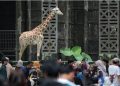Ragunan Banjir Wisatawan Selama Libur Nataru