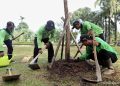 Tanam Ribuan Pohon, Jakarta Timur Perkuat Upaya Tekan Polusi Udara Perkotaan