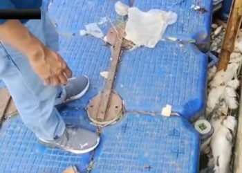Waspada! DLH Kota Tangerang Pantau Ketat Pencemaran Pestisida di Sungai Cisadane