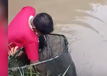 BRIN Terjunkan Tim Teliti Pencemaran Pestisida di Sungai Cisadane