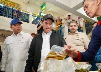 DPR–Kementan Laporkan Produsen MinyaKita Jual di Atas HET Jelang Ramadan