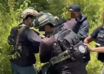 Satgas Damai Cartenz Ringkus Anggota KKB di Timika, Pelaku Penembakan Warga Sipil