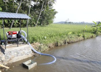 Antisipasi Kemarau Panjang 2026, Pemerintah Genjot Pompanisasi dan Jamin Produksi Pangan