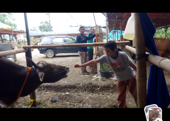Patungan Qurban dan Keikhlasan yang Tak Boleh Kurang