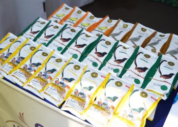 Dari Kicau ke Ekonomi, Saat Hobi Burung Menjadi Mesin Penggerak UMKM
